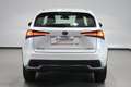 Lexus NX 300 300h Business 2WD Blanco - thumbnail 5