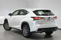 Lexus NX 300 300h Business 2WD Blanco - thumbnail 6