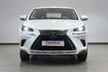 Lexus NX 300 300h Business 2WD Blanc - thumbnail 2