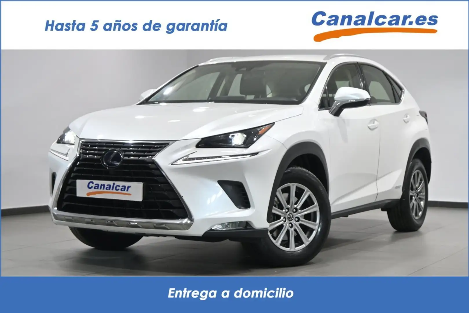 Lexus NX 300 300h Business 2WD Blanc - 1