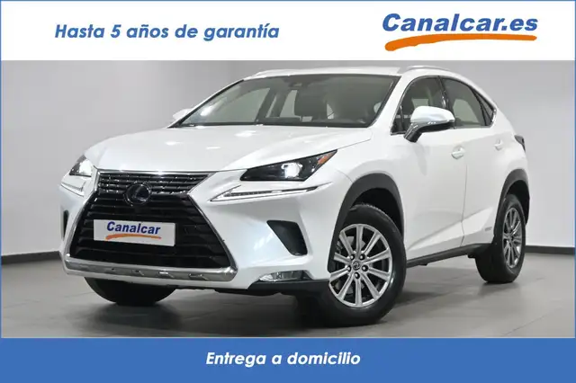 Lexus NX 300 300h Business 2WD