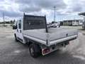 Fiat DUCATO 7 POSTI CASSONATO Wit - thumbnail 10
