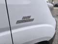 Fiat DUCATO 7 POSTI CASSONATO Wit - thumbnail 6