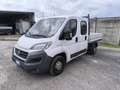 Fiat DUCATO 7 POSTI CASSONATO Wit - thumbnail 3