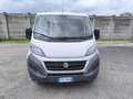 Fiat DUCATO 7 POSTI CASSONATO Wit - thumbnail 11