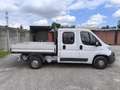 Fiat DUCATO 7 POSTI CASSONATO Wit - thumbnail 1
