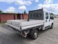 Fiat DUCATO 7 POSTI CASSONATO Wit - thumbnail 8