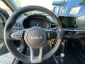 Kia Picanto 1.2 Vision Sitzheizung Kamera Carplay Negru - thumbnail 8