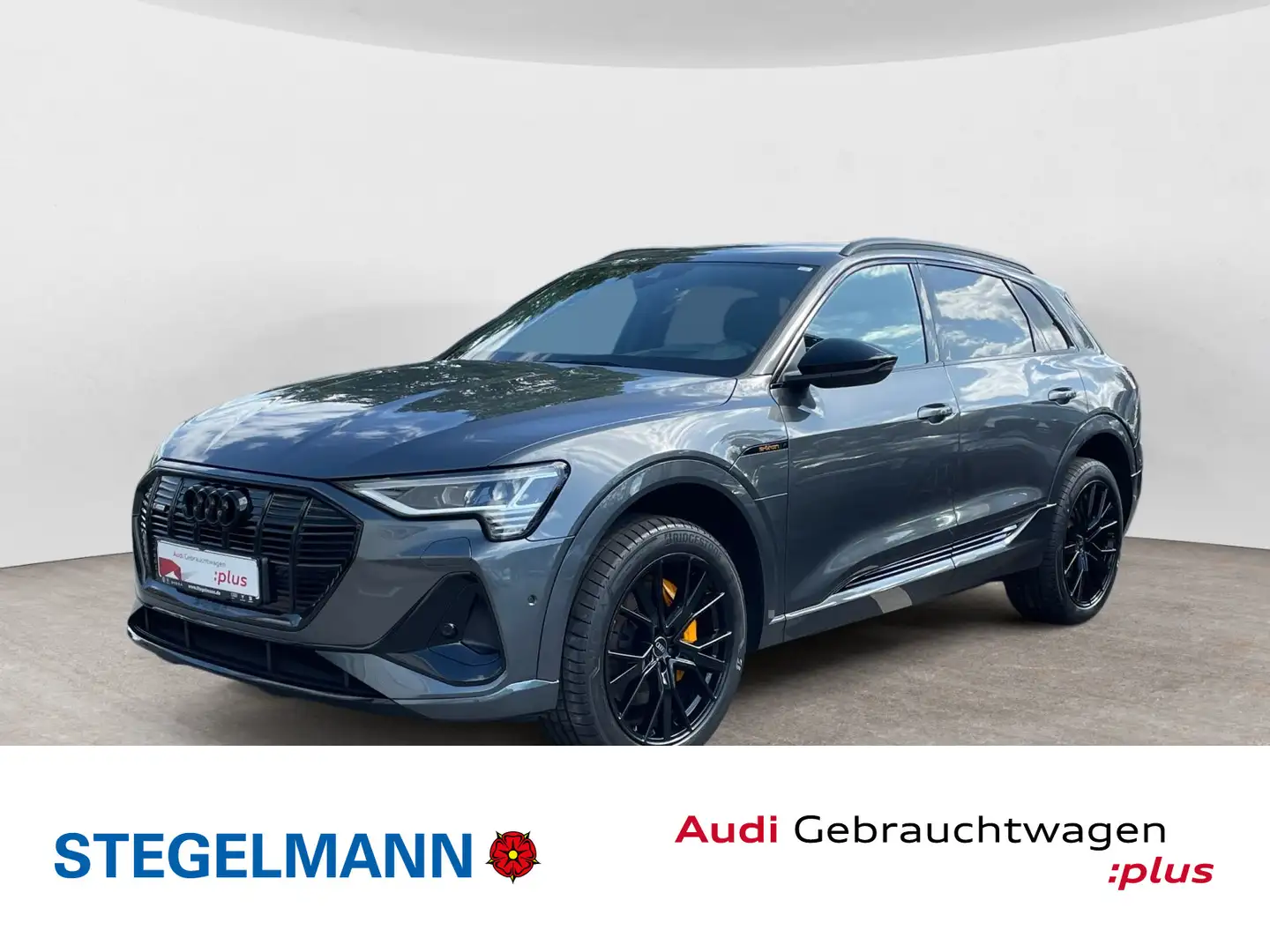 Audi e-tron 55 quattro S line*schwarzpaket+*21Zoll* Grau - 1