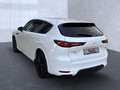 Mazda CX-60 Homura Hybrid AWD Bluetooth Head Up Display Weiß - thumbnail 3