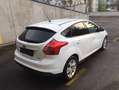 Ford Focus Focus Trend 1,6 TDCi DPF Trend Weiß - thumbnail 3