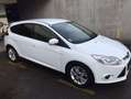Ford Focus Focus Trend 1,6 TDCi DPF Trend Weiß - thumbnail 1