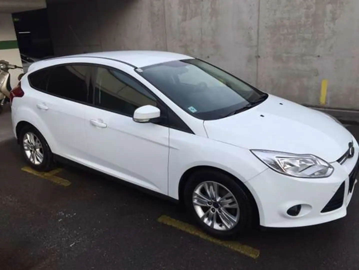 Ford Focus Focus Trend 1,6 TDCi DPF Trend Weiß - 1