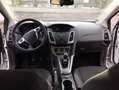 Ford Focus Focus Trend 1,6 TDCi DPF Trend Weiß - thumbnail 4