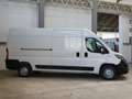 Fiat Ducato 35 2.3 MJT 140CV PLM-TA L3H2 Furgone Maxi Bianco - thumbnail 8