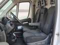 Fiat Ducato 35 2.3 MJT 140CV PLM-TA L3H2 Furgone Maxi Bianco - thumbnail 12