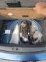 Volkswagen Polo Polo 1.4 TDI Comfortline***HERBSTAKTION*** Blau - thumbnail 18