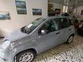 Fiat Panda 1.2 Easy easypower Gpl 69cv my19 Grigio - thumbnail 1