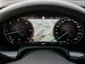 Volkswagen Touareg Edition20 R-Line 3.0 TDI 4Motion AHK Pan Bej - thumbnail 14