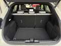 Ford Puma 1,0 EcoBoost Hybrid Sound Edition Weiß - thumbnail 6
