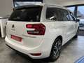 Citroen Grand C4 SpaceTourer 169,78/MOIS / BLUEHDI 130CH S\u0026S BUSINESS + EA Blanc - thumbnail 6