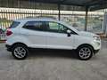Ford EcoSport 1.5 TDCi 100CV TITANIUM Blanc - thumbnail 2