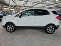 Ford EcoSport 1.5 TDCi 100CV TITANIUM Blanc - thumbnail 3