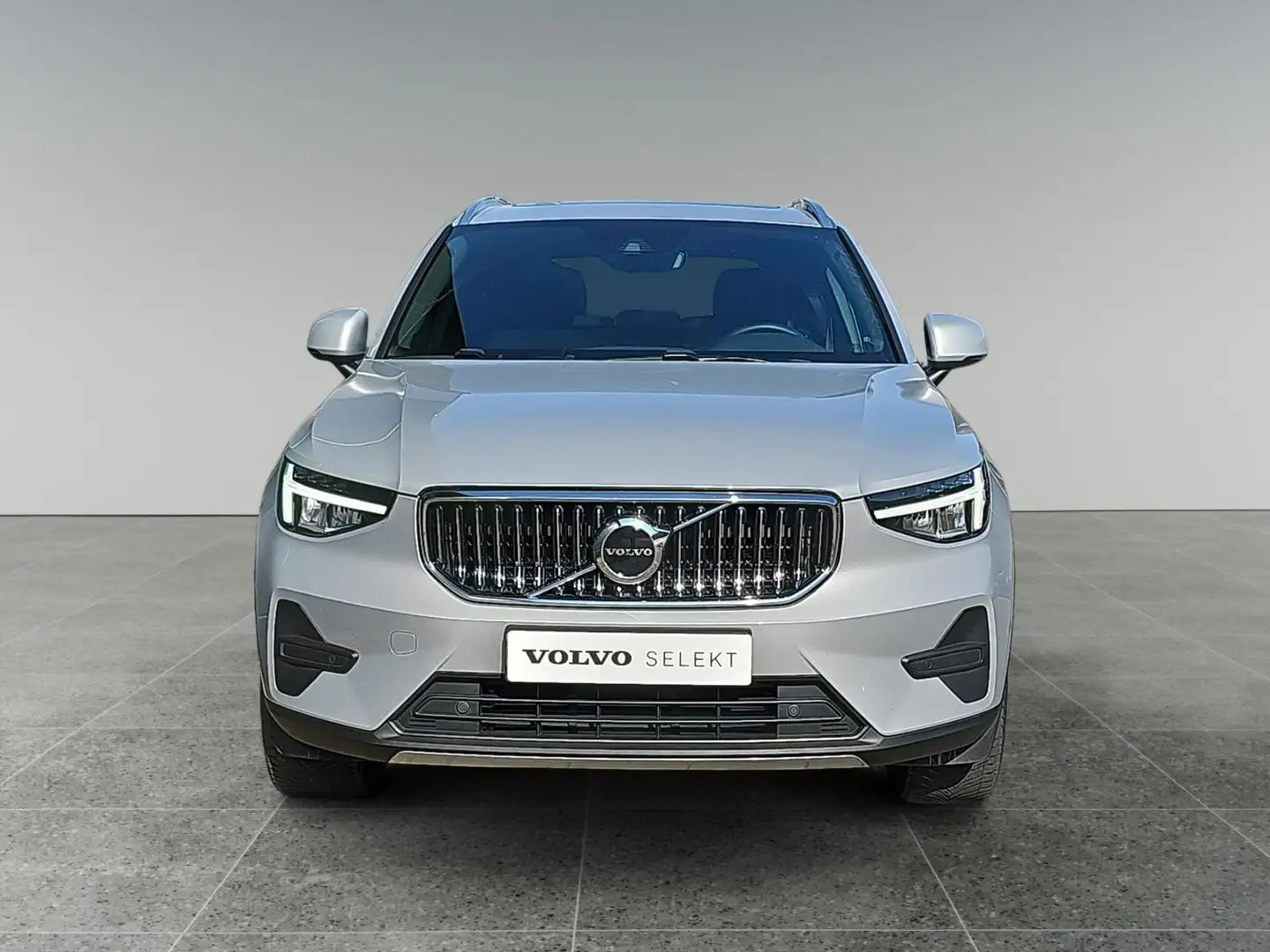 Volvo XC40 1.5 T4 Plug-in hybrid Plus Bright | Panormadak | S Gris - 2