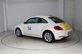 Volkswagen New Beetle 1.2 TSI Design * Klimaautom. * SHZ Blanc - thumbnail 8