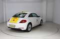 Volkswagen New Beetle 1.2 TSI Design * Klimaautom. * SHZ Blanc - thumbnail 2