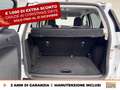Ford EcoSport 1.0 ecoboost plus 100cv my20.25 Bianco - thumbnail 11