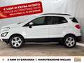 Ford EcoSport 1.0 ecoboost plus 100cv my20.25 Bianco - thumbnail 3