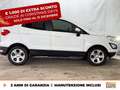 Ford EcoSport 1.0 ecoboost plus 100cv my20.25 Bianco - thumbnail 5