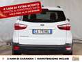 Ford EcoSport 1.0 ecoboost plus 100cv my20.25 Bianco - thumbnail 4