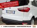 Ford EcoSport 1.0 ecoboost plus 100cv my20.25 Bianco - thumbnail 17