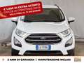 Ford EcoSport 1.0 ecoboost plus 100cv my20.25 Bianco - thumbnail 2