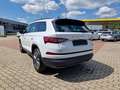 Skoda Kodiaq 2.0 TDI 4x4 DSG Weiß - thumbnail 3