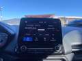 Ford EcoSport 1.0 EcoBoost 125 CV Start&Stop Titanium Blau - thumbnail 9