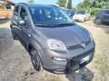 Fiat Panda 1.0 FireFly S&S Hybrid City Life Gris - thumbnail 2