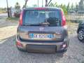 Fiat Panda 1.0 FireFly S&S Hybrid City Life Gris - thumbnail 5