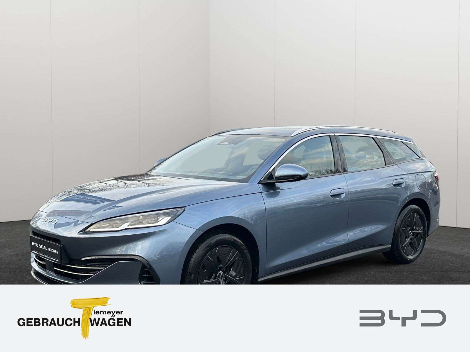 BYD Sonstige