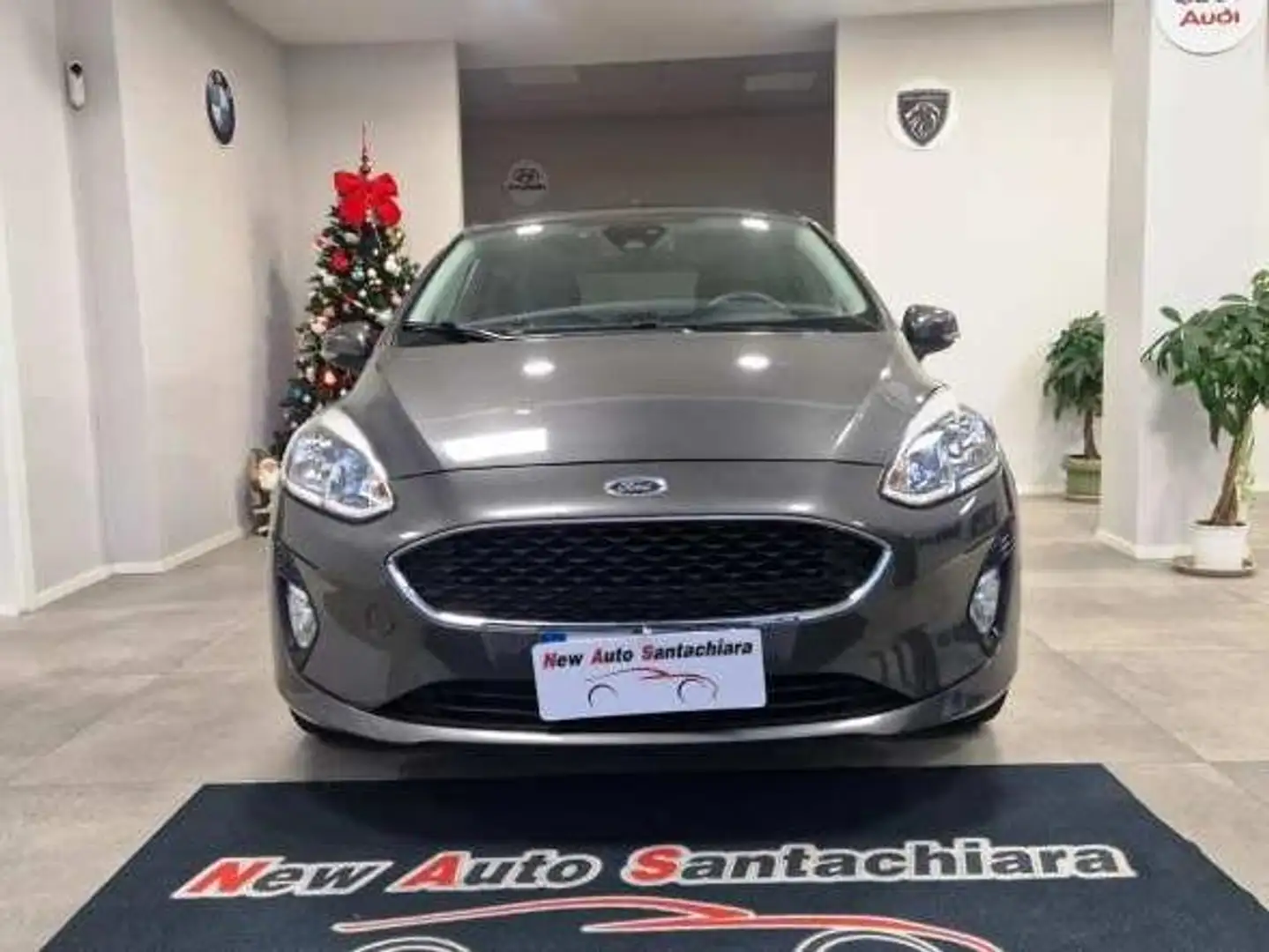 Ford Fiesta 1.5 TDCi 85 CV S&S Plus Grigio - 2