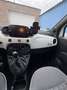 Fiat 500 1.0 GSE N3 Hybrid Launch Edition Weiß - thumbnail 15