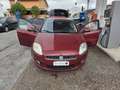 Fiat Bravo 1.4 tjt Sport 150cv con 208.000km Cambio rumoroso Rosso - thumbnail 9