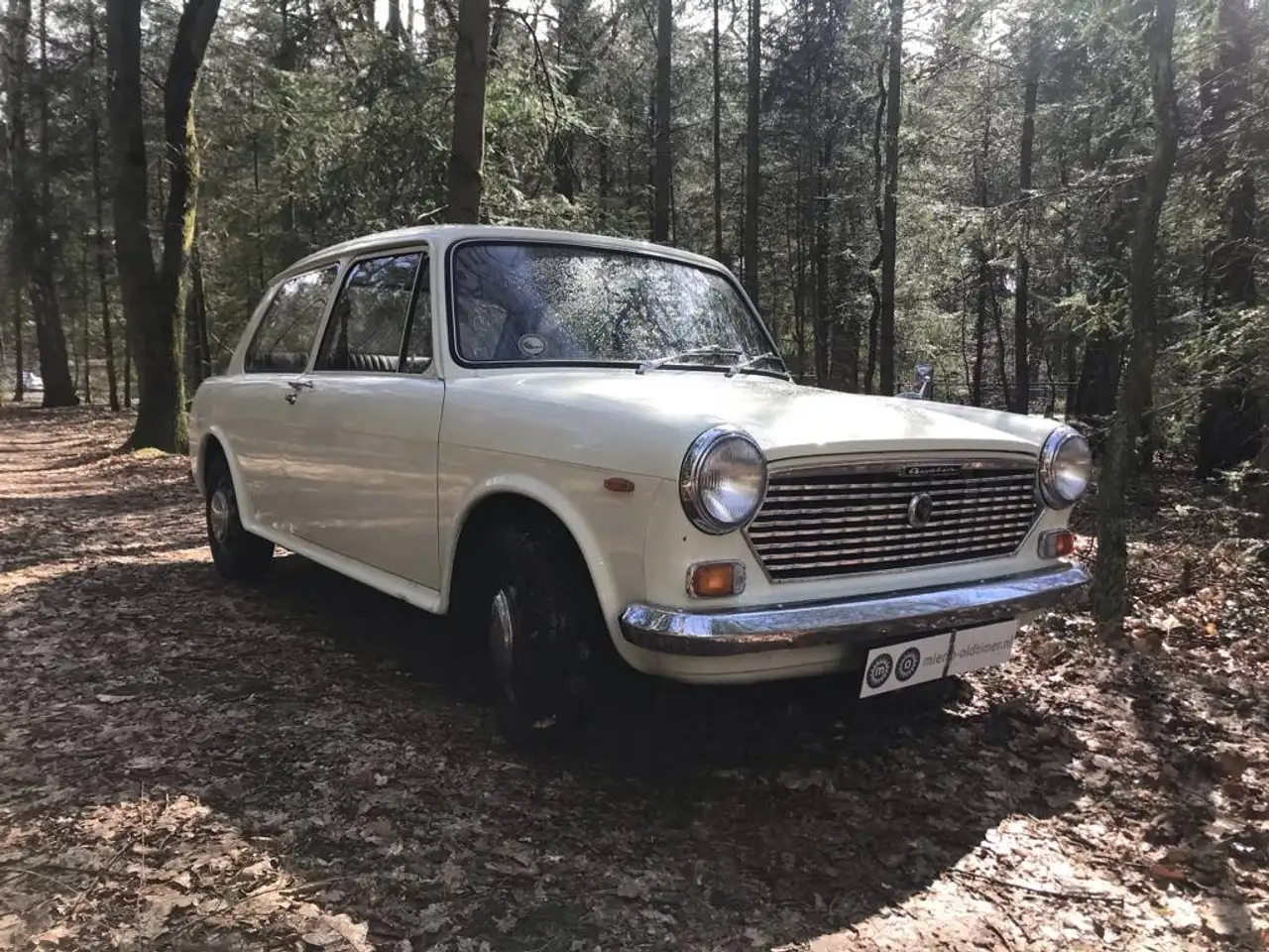 Austin 1100 Glider, foto 4
