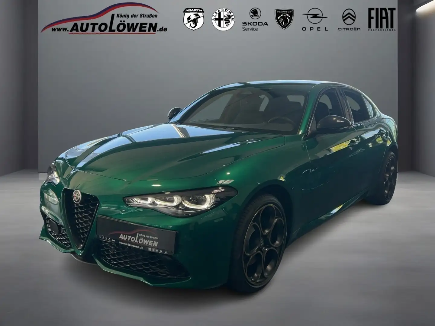 Alfa Romeo Giulia 2.0 Turbo 16V Intensa Q4 Grün - 1