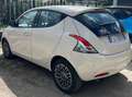 Lancia Ypsilon Ypsilon III 2015 1.2 Platinum 69cv my16 Bianco - thumbnail 4