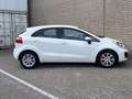Kia Rio 1.1 CRDi BusinessLine | Airco | Cruise | Navi | PD Weiß - thumbnail 8