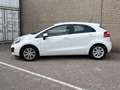 Kia Rio 1.1 CRDi BusinessLine | Airco | Cruise | Navi | PD Weiß - thumbnail 7