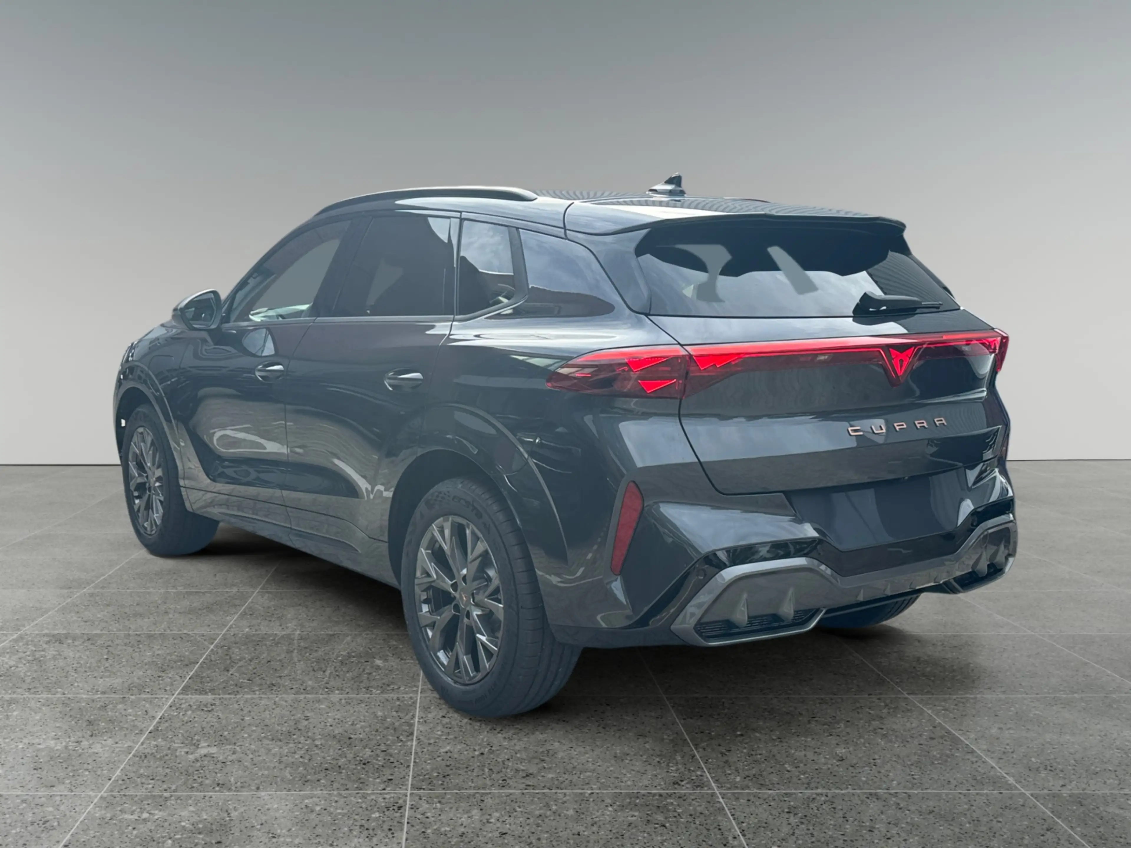 CUPRA Terramar 1.5 eHybrid 204pk Business Limited | Elektr. bestu — photo 5